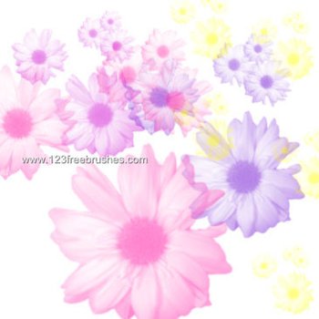 Floral Brushes