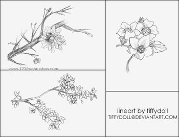 Flower Abstract Brushes