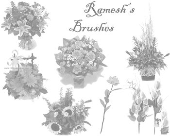 Flower Brushes For Adobe Photoshop 7.0