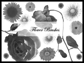 Floral Art Brushes Photoshop