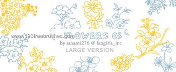Flower Brushes Cs2