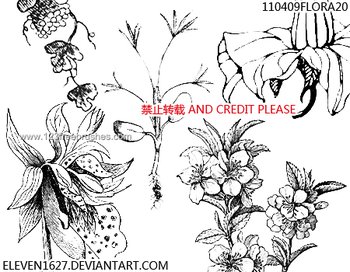 Photoshop Floral Brushes Free Download