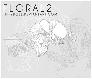 Flower Brushes Download For Free