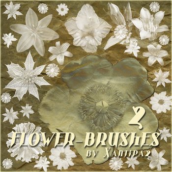 Flower Design Brushes For Photoshop
