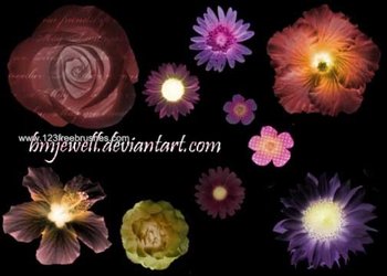 Floral Elements Brushes