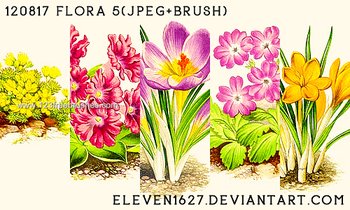 Brushes For Photoshop 7