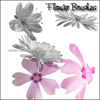 Flower Ornaments Brushes