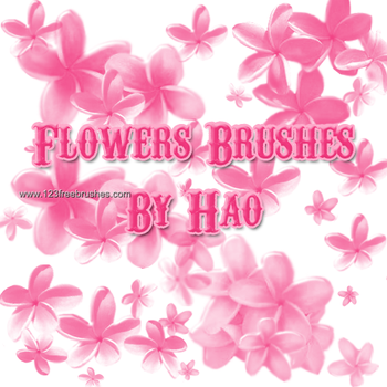 Flower Ornaments Brushes Photoshop