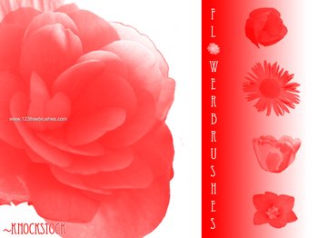 Floral Ornament Brushes Free