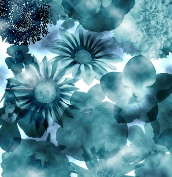 Flower Brushes Photoshop Cs3