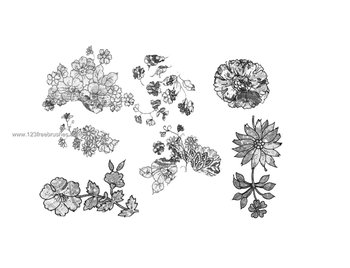 Flower Brushes Photoshop 7 Free Download