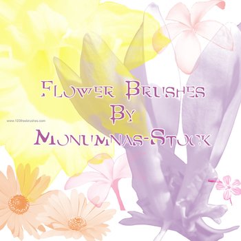 Flower Brushes Photoshop 7