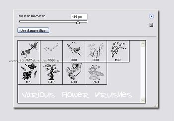 Ps 6 Flower Brushes Free