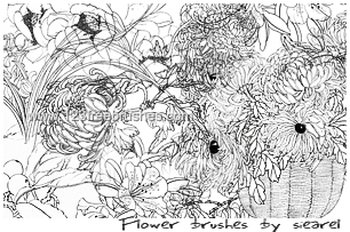 Flower Brushes Photoshop 7 Free Download