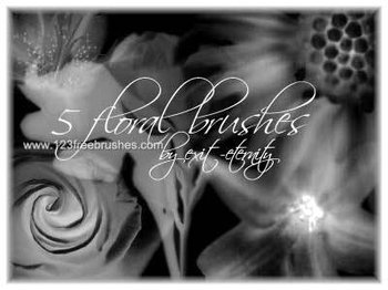 Photoshop 7 Flower Brushes