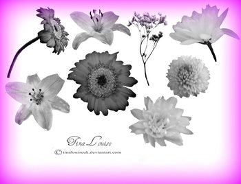 Flower Brushes For Photoshop Cs3