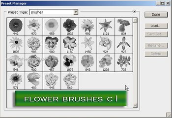 Flower Brushes For Photoshop Free Download