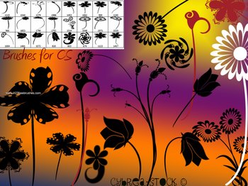 Flower Brushes For Photoshop Cs3 Free Download
