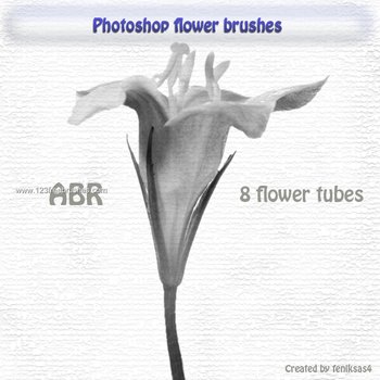 Cs4 Brushes Cs5