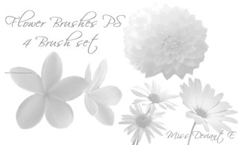 Swirl Brushes Photoshop Free