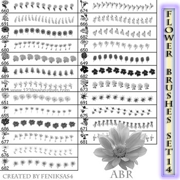 Flowers Brushes Photoshop Free Download
