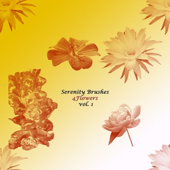Flower Brushes For Photoshop Cs4