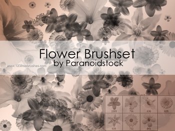 Elegant Photoshop Brushes
