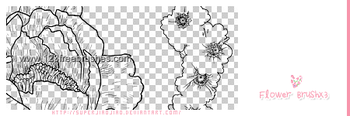 Floral Brushes For Photoshop Cs4