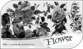 Floral Brushes