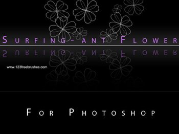Flower Brushes Deviantart