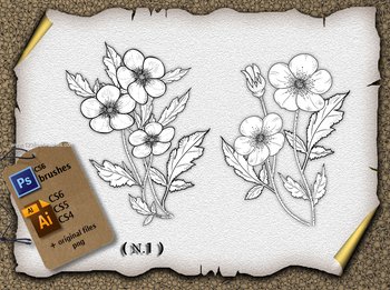 Flower Brushes Review