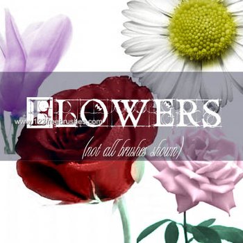 Flower Brushes Cs2