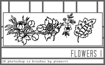 Elegant Photoshop Brushes