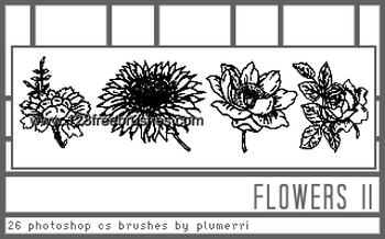 Floral Brushes For Photoshop Cs4