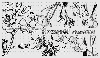 Flower Design Brushes For Photoshop