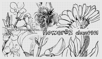 Flower Design Brushes For Photoshop Cs5