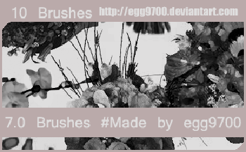 Flower Brushes Photoshop Elements