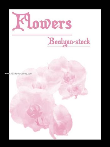 Floral Brushes Mega Set