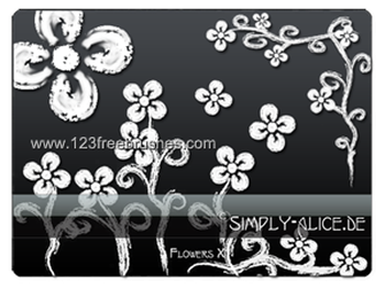 Flower Ornaments Brushes Photoshop