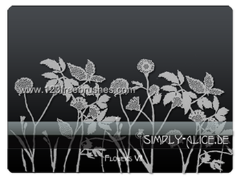Flower Brushes Photoshop Cs4