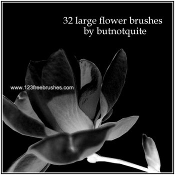 Flower Photoshop Brushes Free