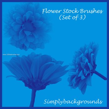 Ps 6 Flower Brushes Free