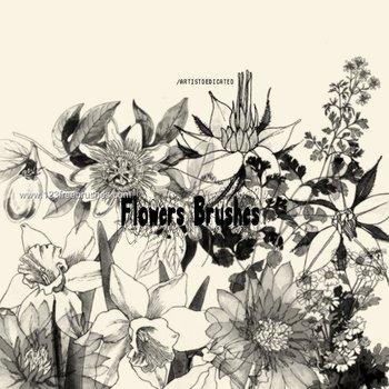 Flower Brushes For Photoshop