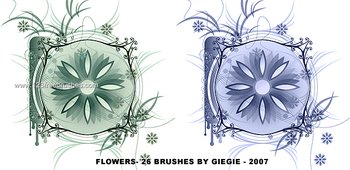 Flower Brushes For Photoshop Free Download