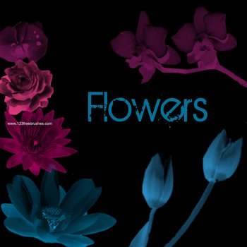 Brushes Photoshop Cs5 Download