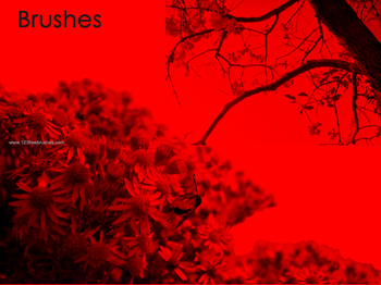 Floral Photoshop Brushes Free