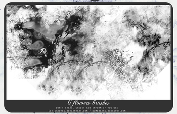 Elegant Photoshop Brushes
