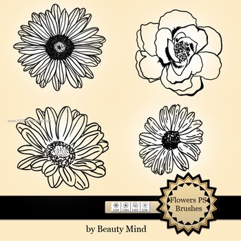 Free Brushes For Photoshop Cs3