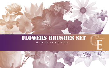 Flower Brushes Deviantart