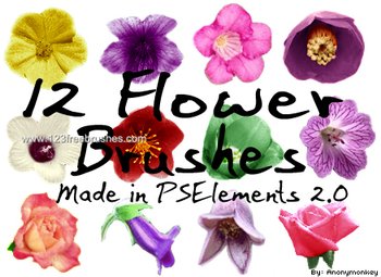 Floral Brushes Ai